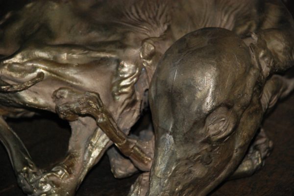 Replica of a fetal calf (cow)