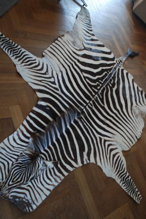 Big old zebraskin, very good quality.