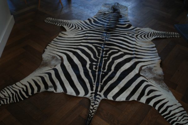 Big old zebraskin, very good quality.