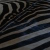 Big old zebraskin, very good quality.