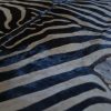 Zebraskin with black velvet