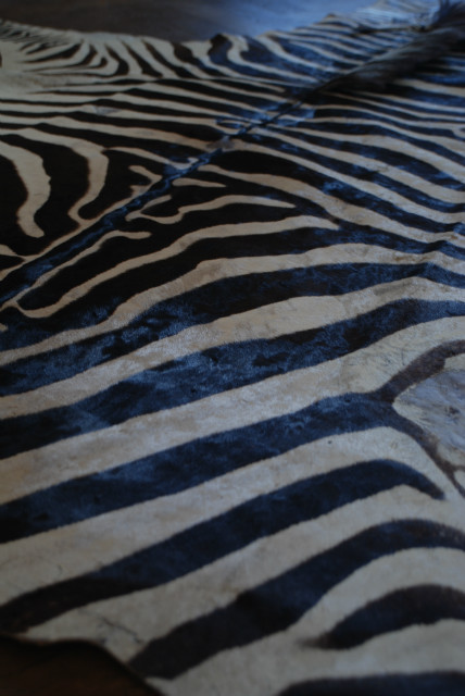 Big old zebraskin, very good quality.