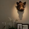 New trophyhead / shouldermount of a wild boar. Taxidermy