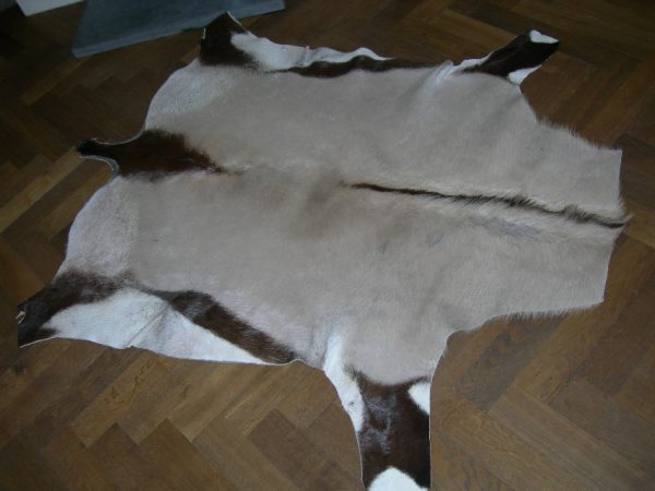 Huid van een oryx