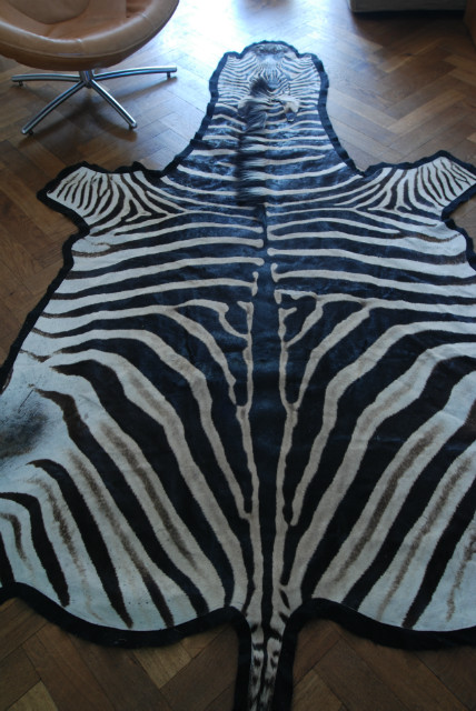 Fresh big zebra skin, beautifully finished with felt