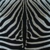 Fresh big zebra skin, beautifully finished with felt