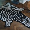 Fresh big zebra skin, beautifully finished with felt