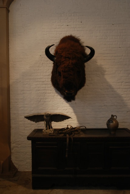 Enormous huntingtrophy / shouldermount of an American Bison. Excelent taxidermy.