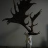 Unique and abnorm pair of antlers, of a fallow deer on a hard stone base.