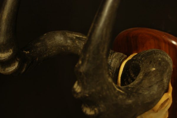 Nice set of 2 skulls of a red hartebeest.