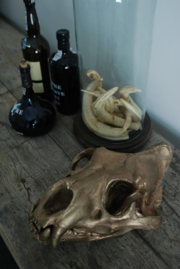 Massive bronze replica of a real lion skull.