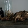 Massive bronze replica of a real lion skull.