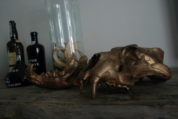 Massive bronze replica of a real lion skull.