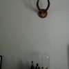 Antique, skull, horns of a lesser kudu.