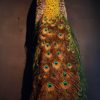 New stuffed peacock. Very nice taxidermy.