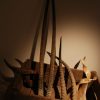4 pairs of horns of various spieces.