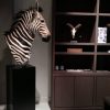 Impressive head of a zebra on a pedestal. Zebra pedestal mount.