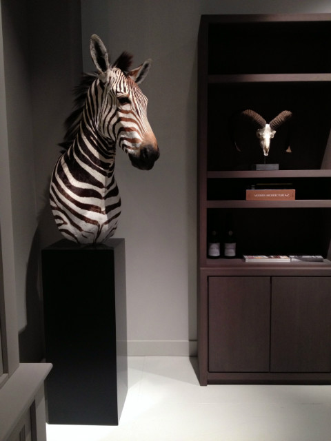 Impressive head of a zebra on a pedestal. Zebra pedestal mount.