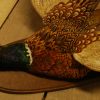 Stuffed hanging pheasant.