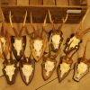 10 pair of antlers of big roebuck.