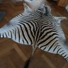 Enorm grote huid van een Burchell zebra. Zebravel.
