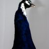 Stuffed peacock mounted on a pedestal. Fresh taxidermy.