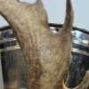 Champagne cooler made from deer antlers. Wine cooler