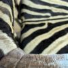 Unique bench made from deer antlers and zebraskin.