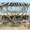 Unique bench made from deer antlers and zebraskin.