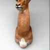 Recent stuffed head of a deer