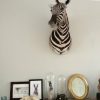 Shouldermount van een zebra. Zebrakop.