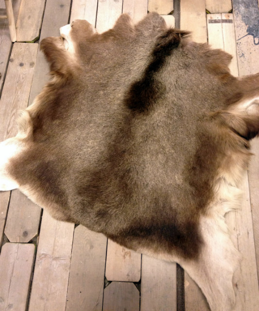 Gelooide huid van een Scandinavische eland. Elandhuid.