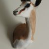 New stuffed head of a springbok.