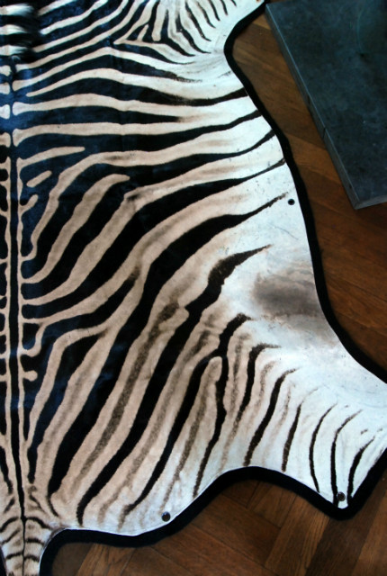 Zebra Skin XXL.