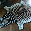 A grade zebra skins. Very large and beautiful soft tanned skin.