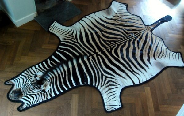 Zebra Skin XXL.