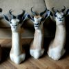 Stuffed heads of springbok.