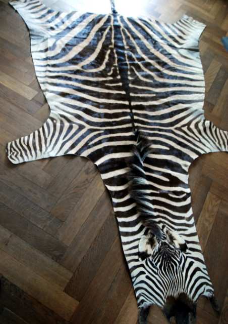 Beautiful zebra skins B Quality..