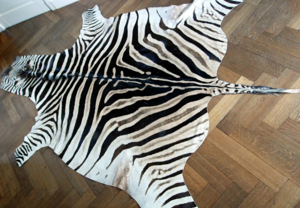 Beautiful zebra skins B Quality..