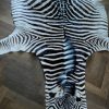 Beautiful zebra skins B Quality..