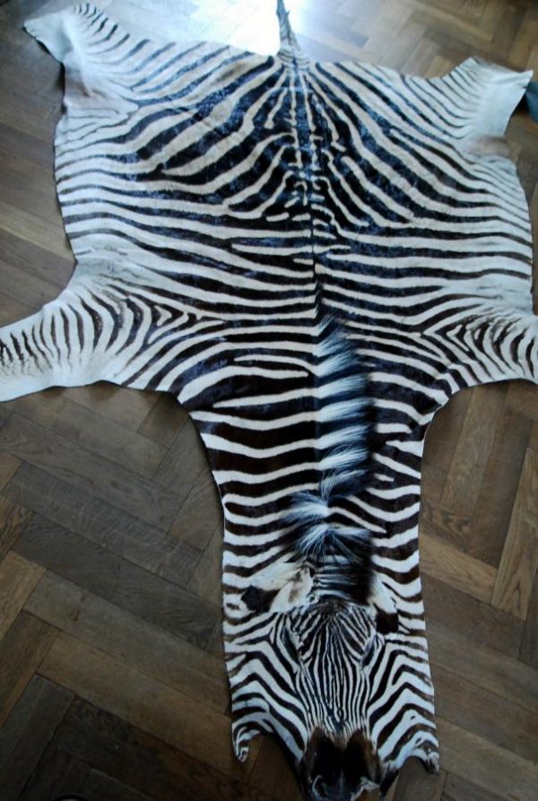 Beautiful zebra skins B Quality..