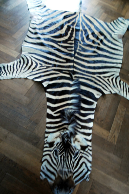 Vintage zebra skins, C quality.