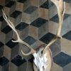 Antlers of a fallow deer.