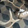 Antlers of a fallow deer.