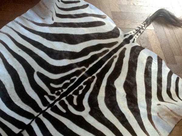 Gelooide huid van een zebra.