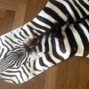 Gelooide huid van een zebra.