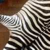Tanned skin of a zebra.