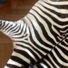 Gelooide huid van een zebra.