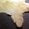 High quality polar bear skin (Special offer).