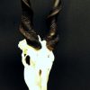 Eland antelope skull mounted on hard-stone base.